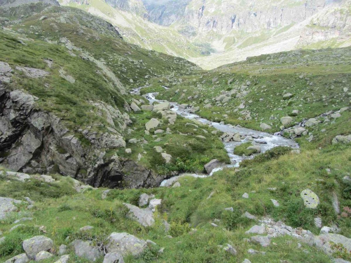 Bilocale A Due Passi Dal Gran Paradiso Locana Exteriér fotografie